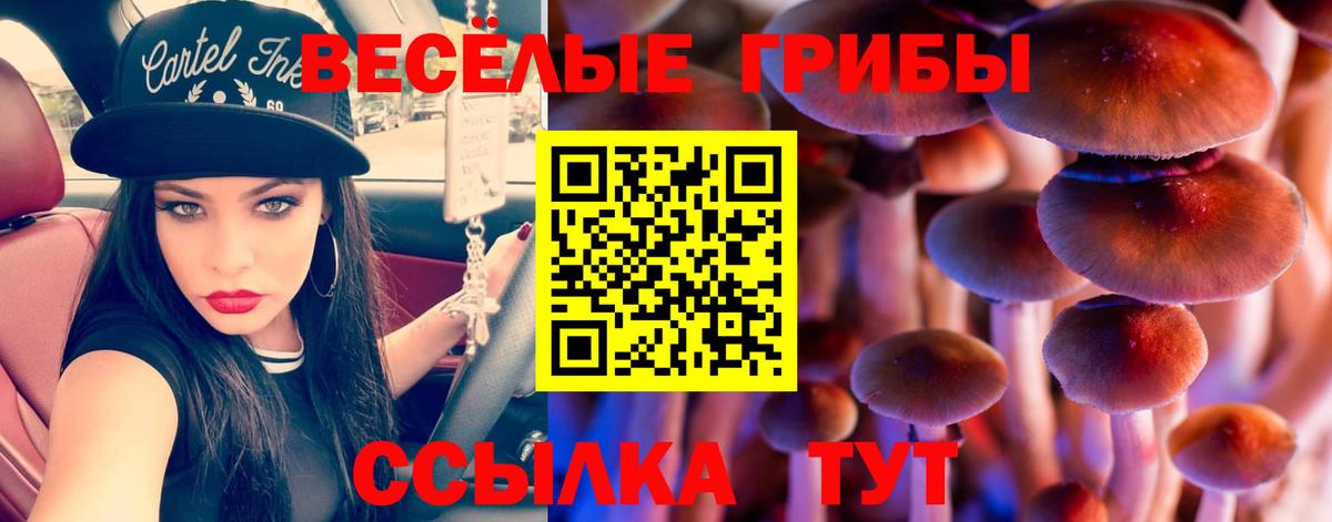 Ростов-на-Дону  Галлюциногенные грибы прущие грибы  Вход с VPN 