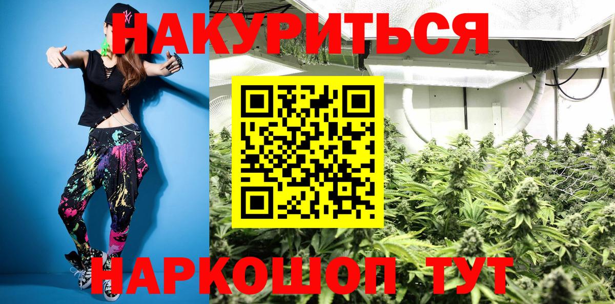 Ростов-на-Дону  Шишки марихуана план  Марихуана Bruce Banner  Марихуана сатива  Вход с VPN 